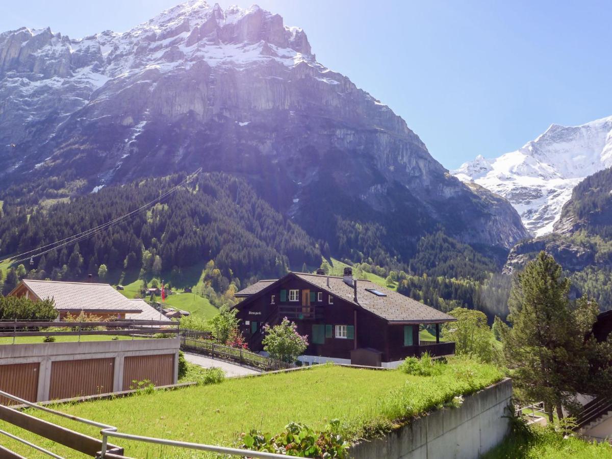 Apartment Chalet Almis-Boedeli-1 By Interhome Grindelwald Zewnętrze zdjęcie