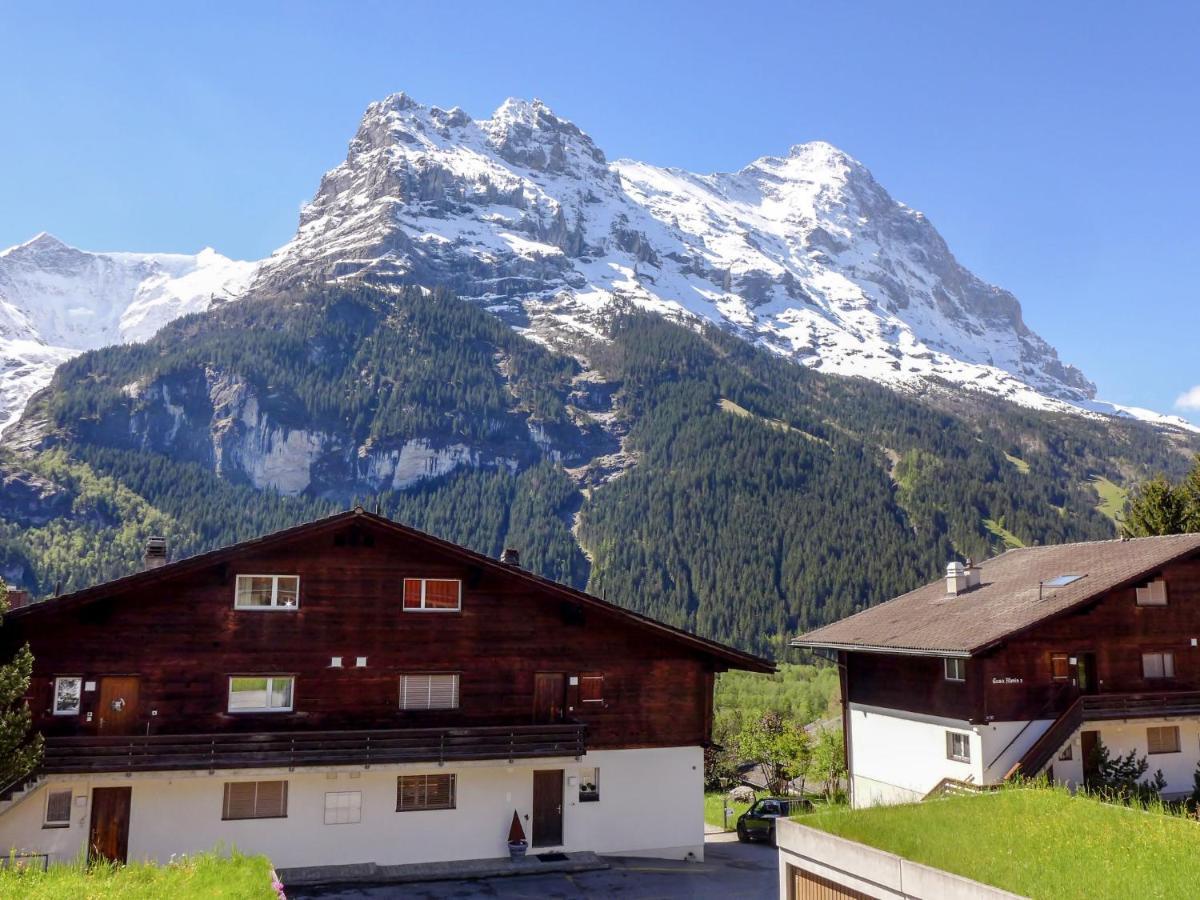Apartment Chalet Almis-Boedeli-1 By Interhome Grindelwald Zewnętrze zdjęcie